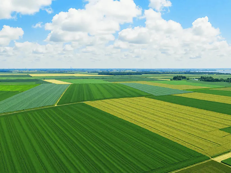 Nanda Technology Successfully Develops New Microbial Strain N9, Opening a New Chapter of Agricultural Green Upgrading