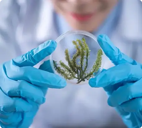 Nanda │ A Pioneer in Organic Solid Waste Bioprocessing