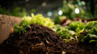 5 Tips to Maximize Composting Efficiency with the Right Compost Machine