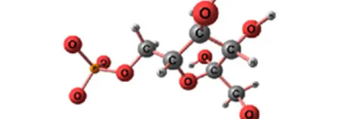 Carbon source supplementation‌ for sewage treatment plants