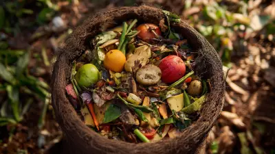 Envisioning Tomorrow: The Evolution of Organic Waste Composers in Sustainable Living